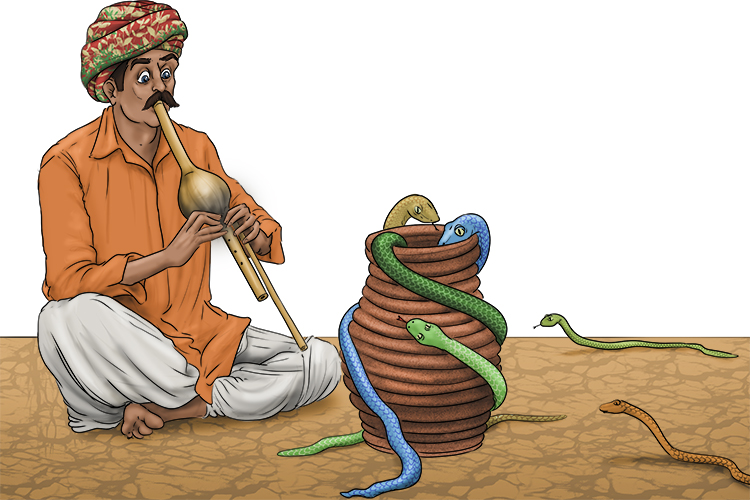 The snakes were coiling back into the coiled pot as the charmer finished his show.