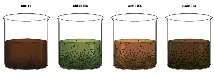 The first pigments are created by steeping tea or coffee in water. 