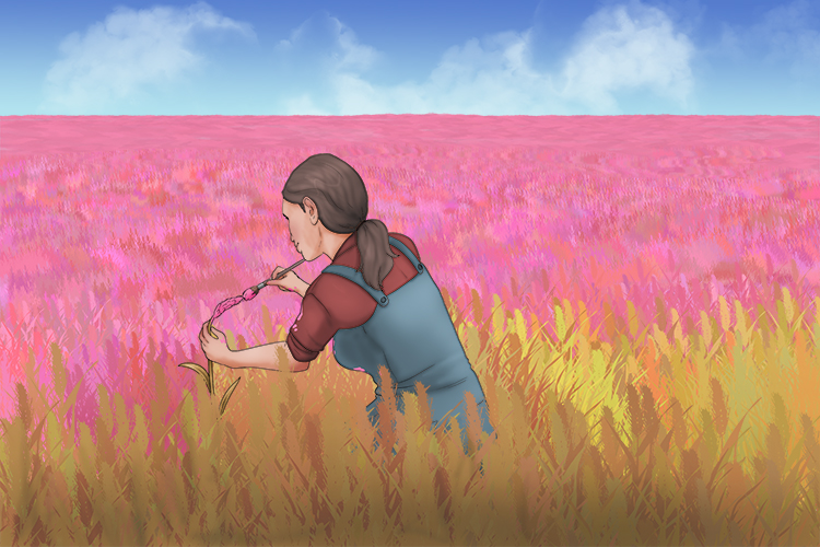 The colour of the field needed painting (colour field pattern) so she added just one, flat colour.