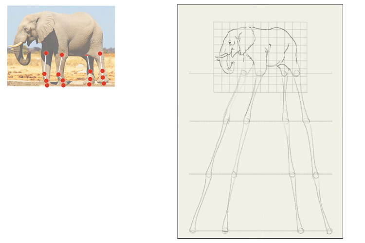 lightly draw in the shapes of the legs.