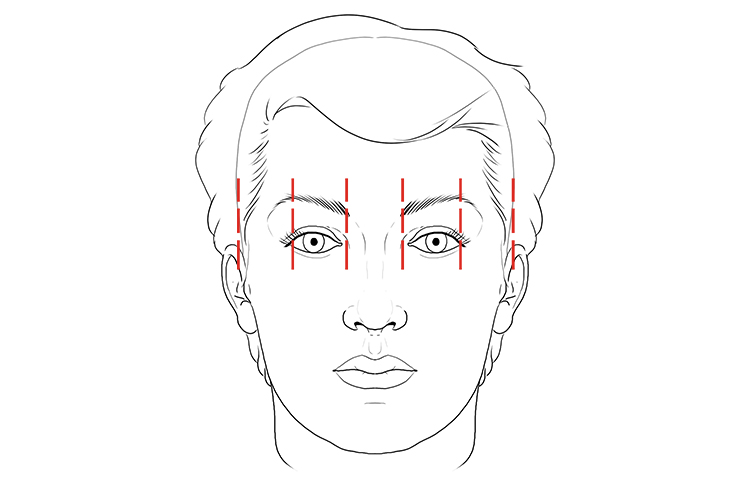 The width of the head is five eyes wide.