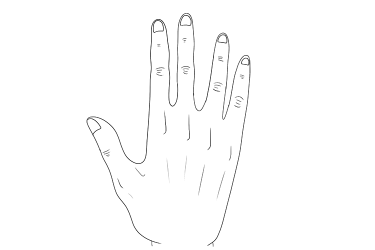 Add some details to the hand, such as the wrinkles on the finger joints, lines for the knuckles and hand bones and fingernails, which usually start half way between the last finger joint and the tip of the finger.