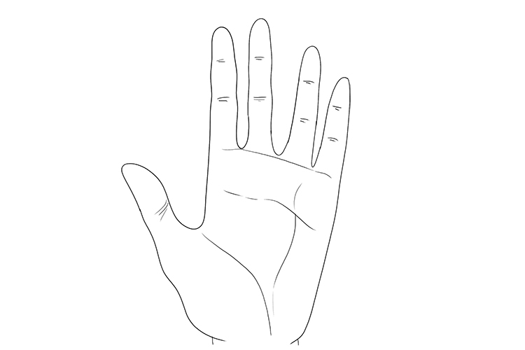To draw the hand palm side up, follow steps 1 to 7 again, but when it comes to adding the details draw a line across the palm from the thumb, curving down to just past half way along the bottom of the hand and a line from the little finger to the bottom o
