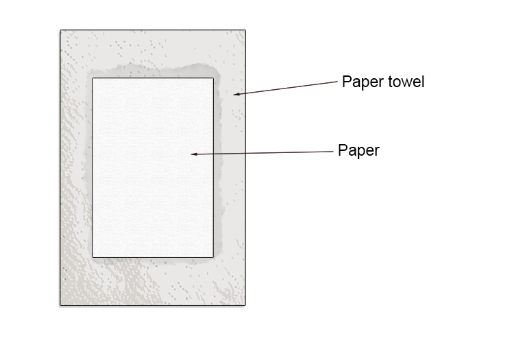 Take the paper out of the tray and lightly dry it on a paper towel for a second. Flip it over and set it down on the paper towel so there isn't a lot of water pooling.