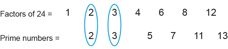 The prime factors of 24 is 2 and 3