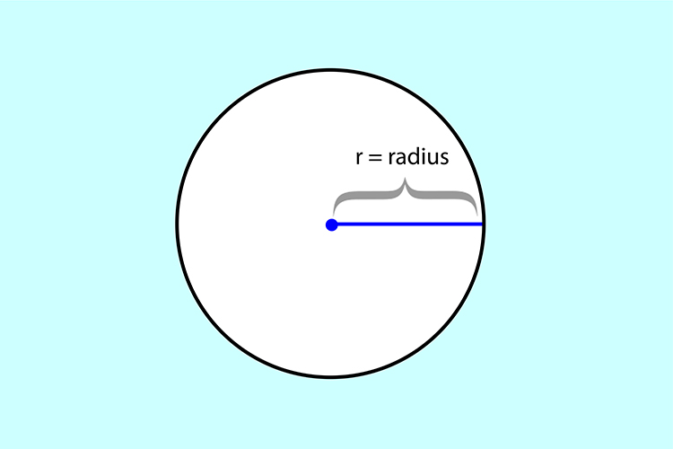 The radius is the straight line that extends out from the centre of a circle to the edges