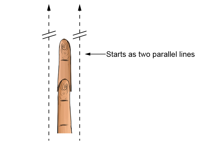 Parallax starts with two parallel lines