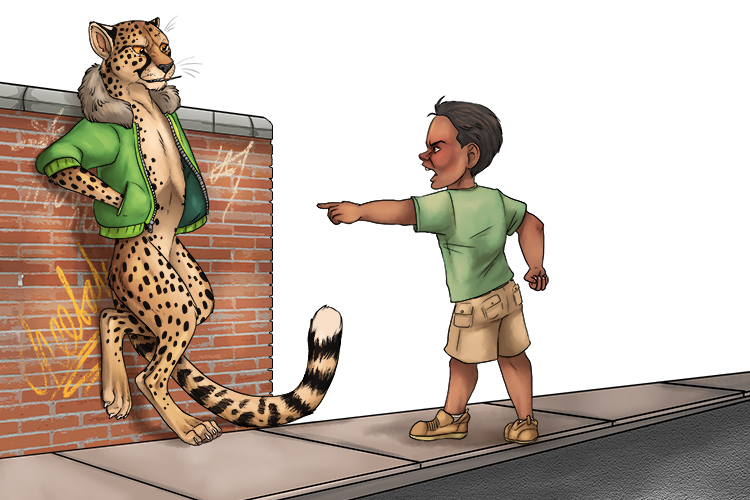 The boy was angry that the cheetah was wearing his coat (chico).