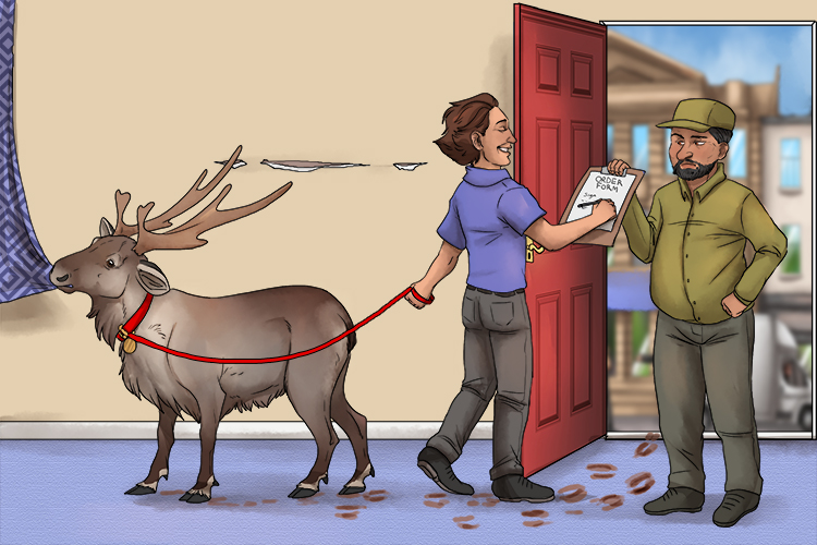He decided to order a surprise present for his wife, a new pet, a reindeer (pedir)! What will she say.