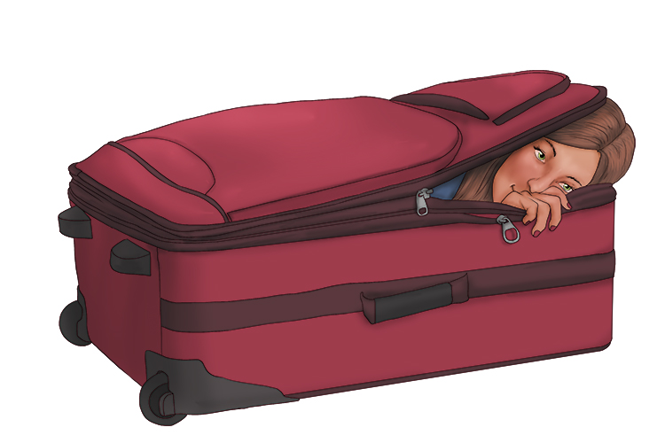Maleta is feminine so it's la maleta. Imagine a lady packing herself into a suitcase.