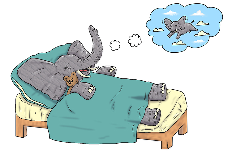 Dormitorio is masculine, so it’s el dormitorio. To remember this, imagine an elephant sleeping in the bedroom (dormitorio)