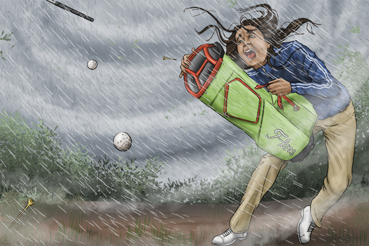 Her set of golf clubs was consumed by the typhoon and was totally (conjunto) lost.