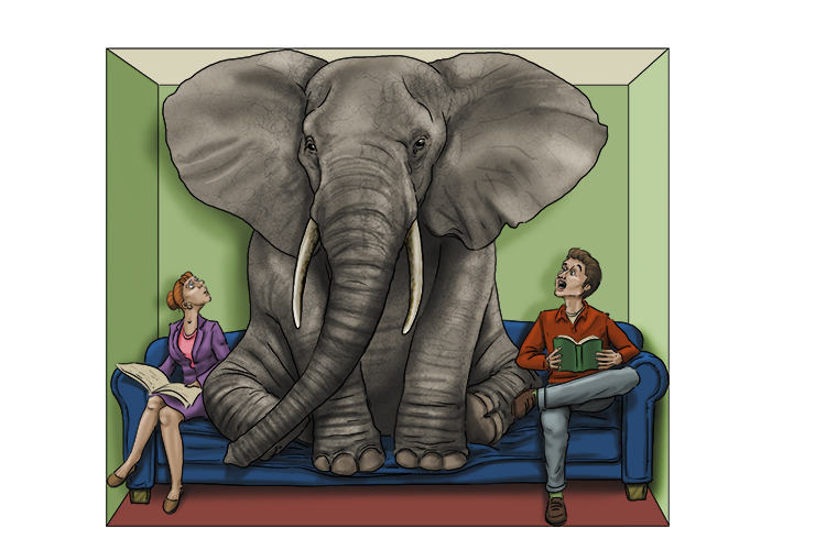 Salón is feminine, so it’s el Salón. Imagine an elephant too large for a living room.