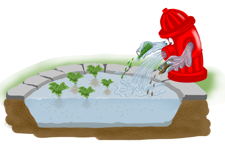 The hydrant fed a pond that gave a tonic (hydroponic) to the plants of minerals and nutrients in solution.
