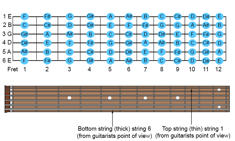 We will now show you more clearly in greater detail the notes on these first 12 frets: