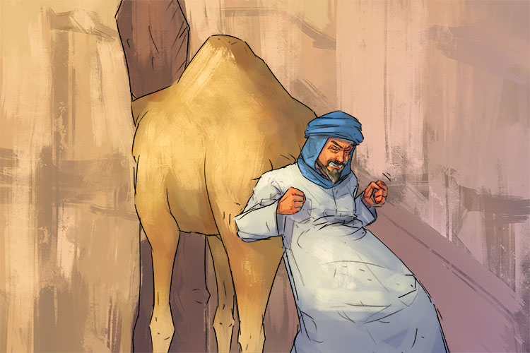You won't be able to get your camel through that narrow passage (capaz)
