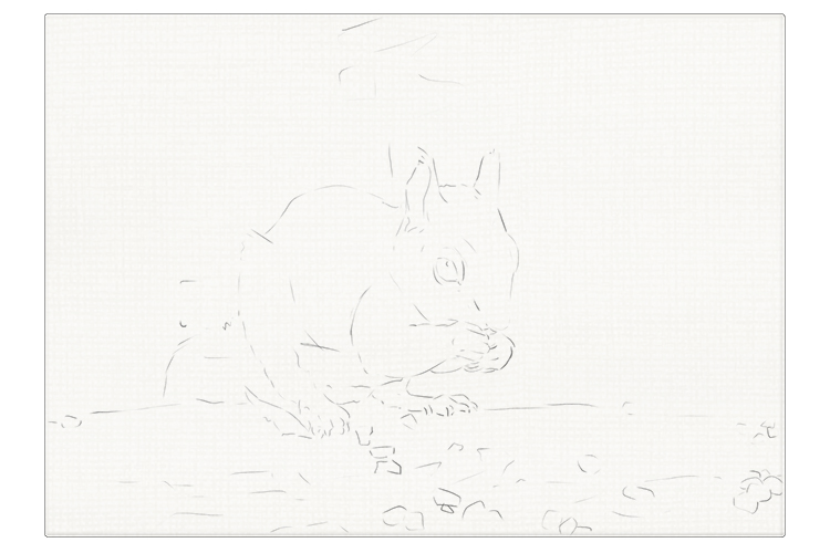 Using the Mammoth grid method if you wish, lightly draw a simple outline sketch of your chosen image onto the canvas you are using.