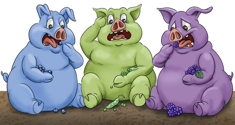 The pigs weren't meant (pigment) to eat the organic material – the peas, blackberries and blueberries – but they did, and it gave each of them a strange colour.