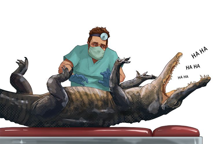 An alligator has to be tickled (analytical) before begin examined in detail