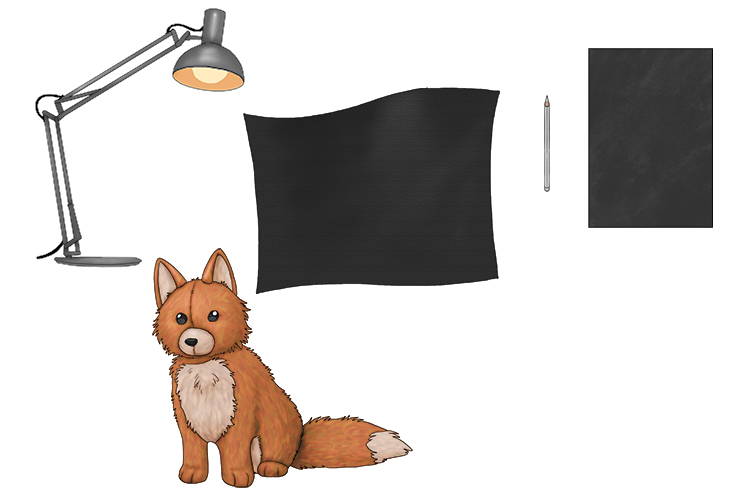 A lamp, a black backdrop (large card or fabric will work) a plush toy to draw, a camera, black paper or card and a white pencil.