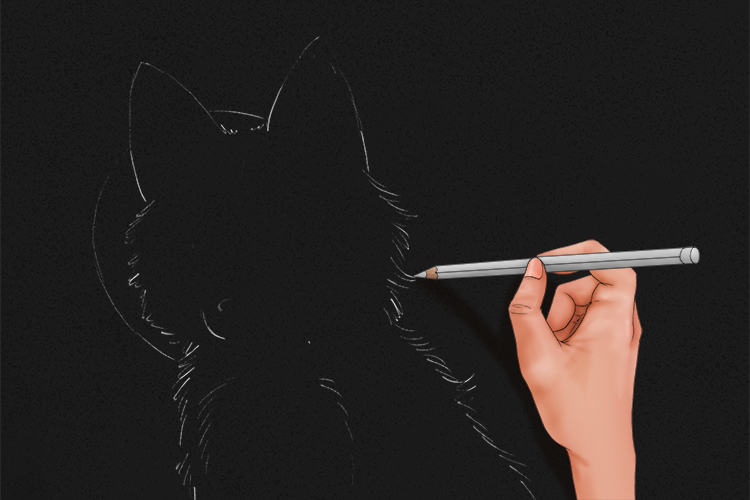 Pressing very lightly with your white pencil, sketch out your subject onto the black paper. You can use the Mammoth Memory grid method if you aren't confident drawing straight on.