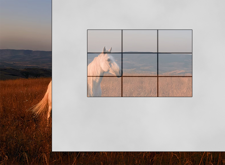 We have decided to go with the view below, because as you can see, it fits well with the rule of thirds. The horse fits neatly into the left hand side and the landscape is divided equally into horizontal thirds.