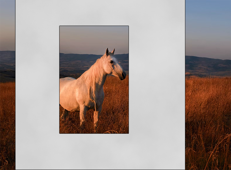 Move the viewfinder around the copy of your photo and select the best place to crop. Think about what you want to focus on, see how the mood changes as you move the viewfinder around.