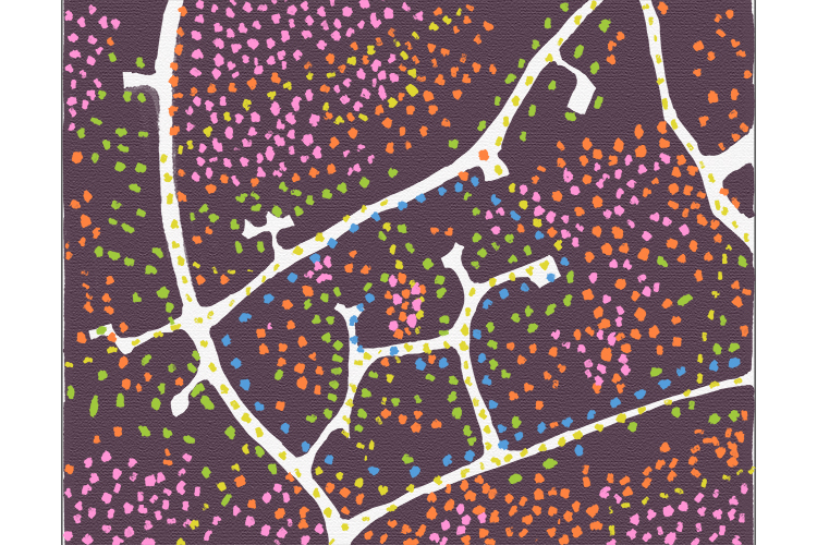 Apply different coloured dots with a cotton bud, each colour has a different meaning. For example: Yellow is where you walk your dog, blue is the route to all your friends houses, bright green are all the houses you've never visited, orange marks out all 