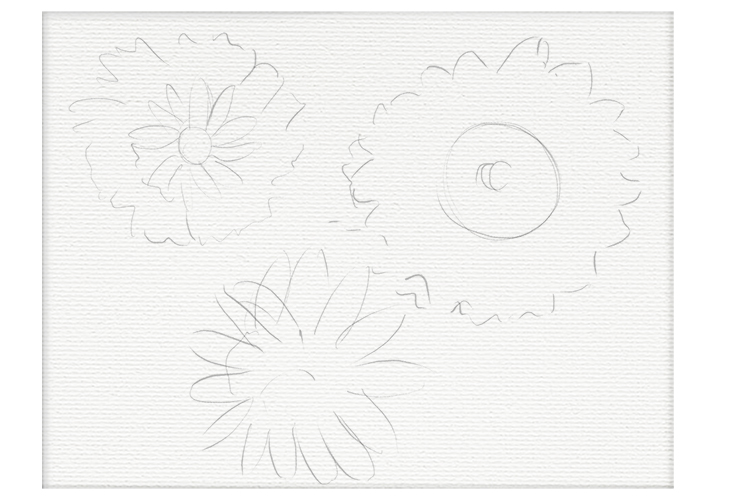 Draw in pencil an outline of a design you wish to paint. we have opted for a simple flower design.
