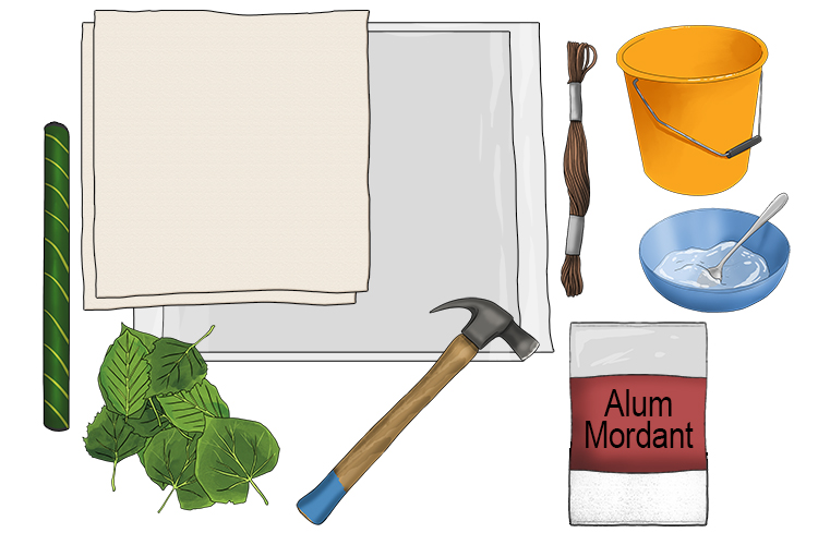 For this project you will need: Alum mordant (this is best ordered online), two pieces of cotton (minimum 30cm by 30cm), leaves, a hammer, protective plastic sheets, string, a short length of hose pipe (or similar), a spoon, a container to dye your fabric