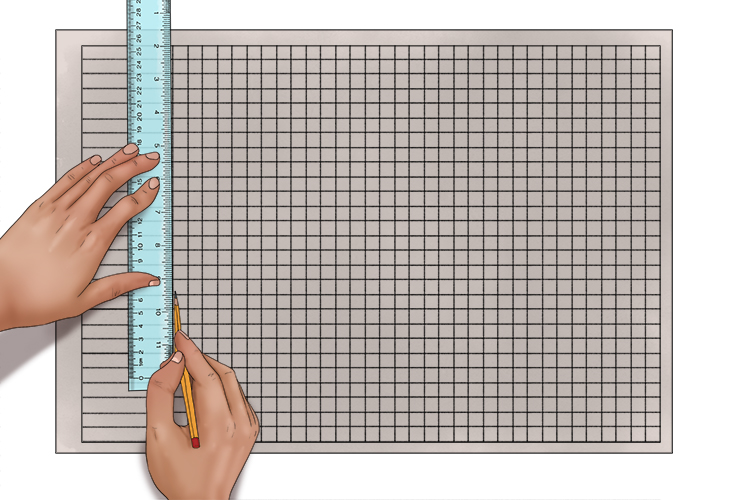 Then, draw a 10mm by 10mm grid covering the paper. Make sure this grid is the same size as the inside area of the frame.