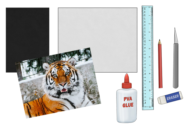 For this project, you'll need a ruler, an eraser, a scalpel, a pencil, a sheet of A4 black card, a sheet of A3 white card and a fairly symmetrical reference photo.