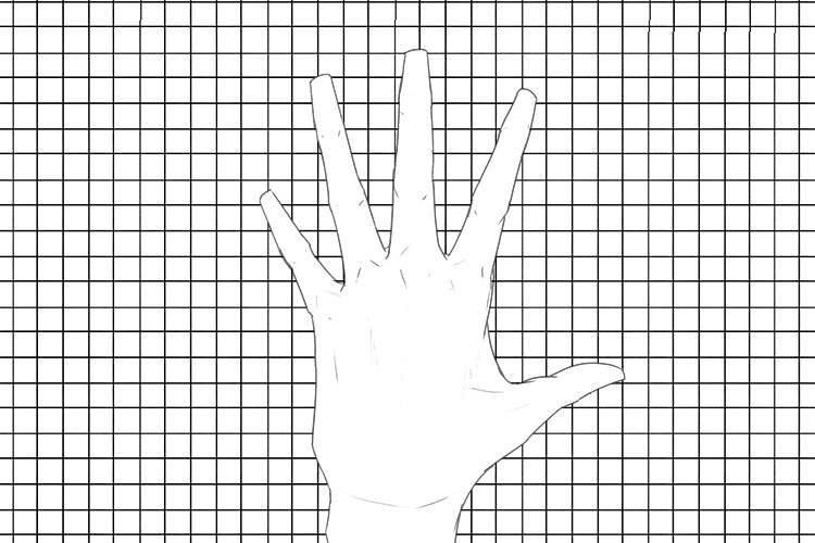 Next, draw a grid around your hand drawing