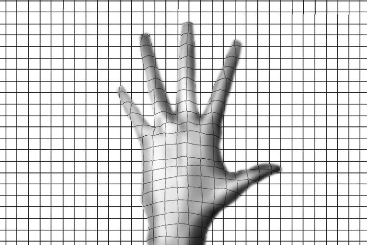Fill in the grid lines on the hand but have them follow the shape of the hand