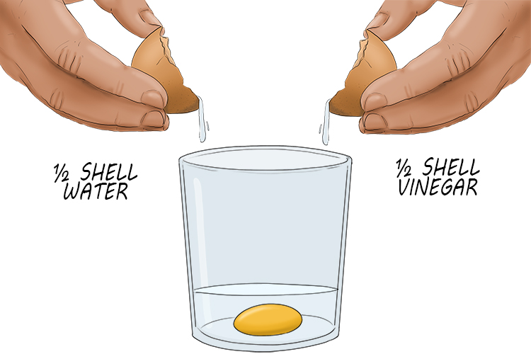 Use the egg shell halves as a measuring vessel and add half an eggshell of water and half an eggshell of vinegar to the glass
