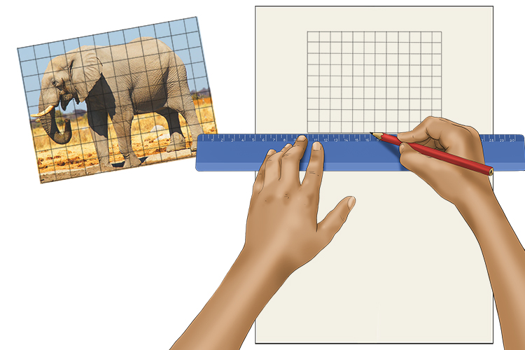 Use the Mammoth Memory grid method in properation for your drawing