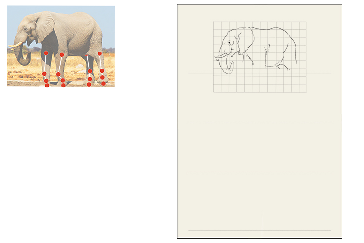 On your paper, faintly draw four horizontal lines on the area under your elephant.