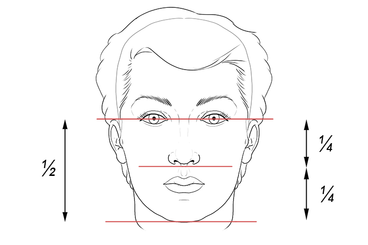 The bottom of the nose sits halfway between the eyes and the chin.