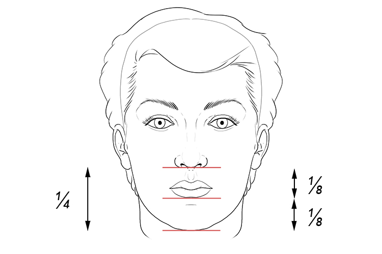The bottom of the mouth falls halfway between the nose and the chin.
