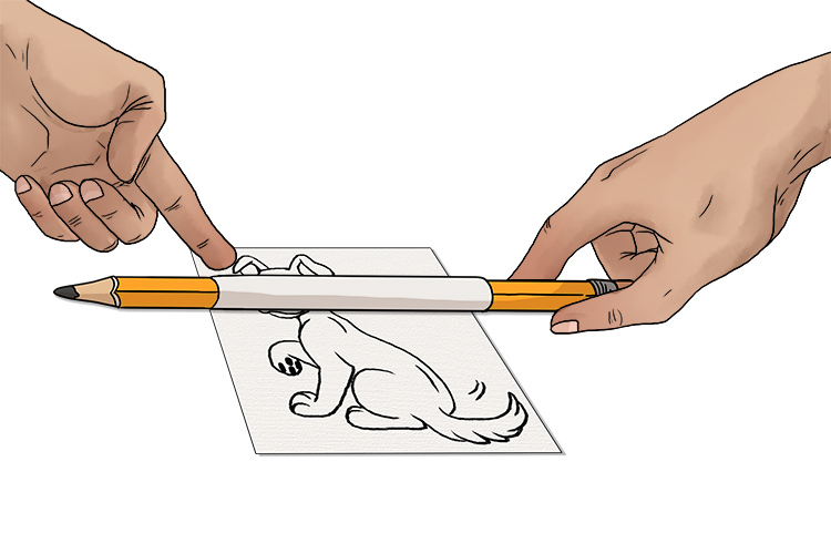 Then, holding the fold of the paper in place, drag the pencil up and down the image. The curled half will appear as the pencil moves and disappear as it moves back up.