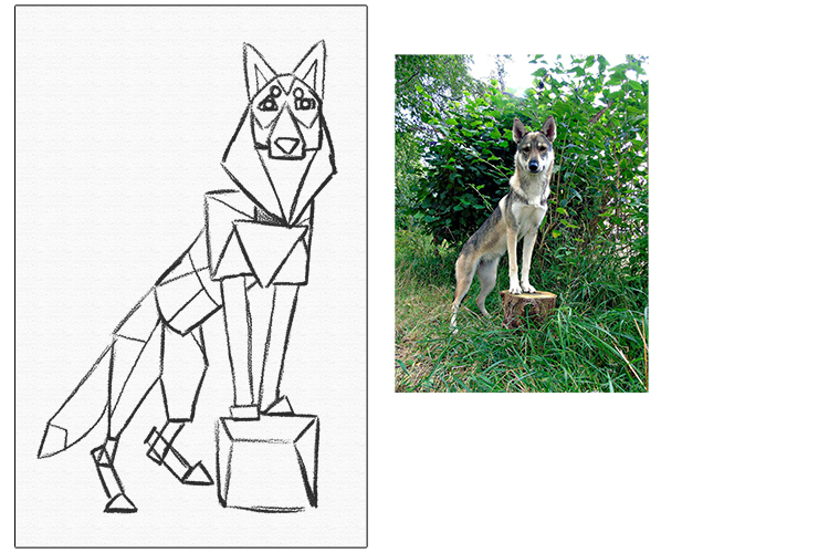 Does the animal have any markings? Think about trying to incorporate them, while still sticking to the cubist style.