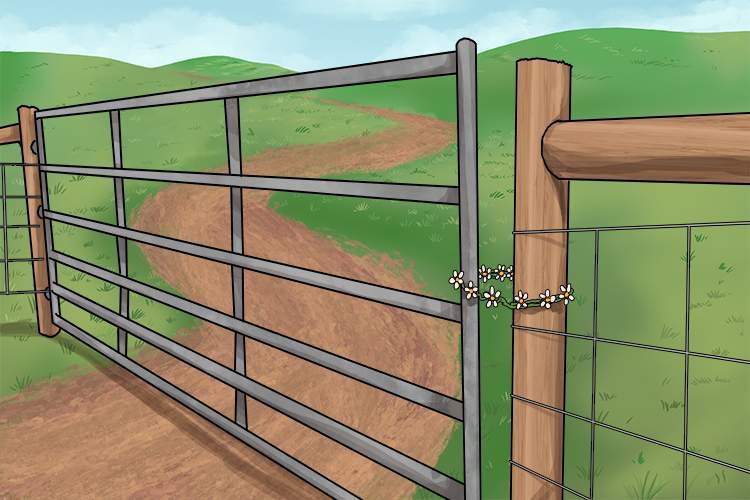 Challenge the idea of functionality. Take a photo of an object which is completely impractical for a task, for example using a daisy chain to keep a gate closed.