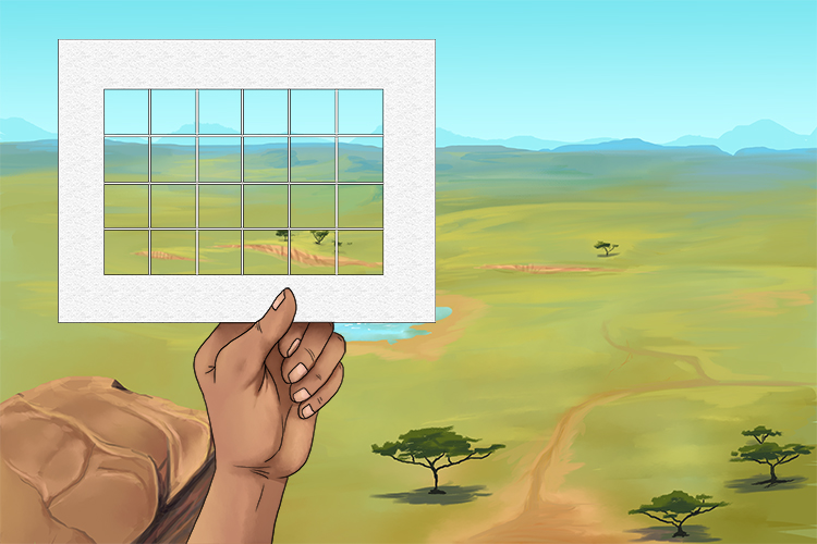 To use your viewfinder, find a scene you want to draw and use your viewfinder to select the best section to focus on.