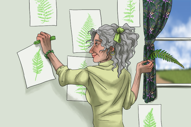 She used rubbings of fern fronds to make a montage (frottage) on her living room wall.