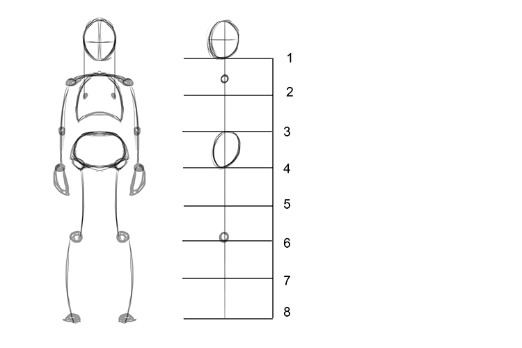 To draw the body in profile, first draw the head. The top of the head, shoulder, pelvic bone and knee are all roughly in line with each other.