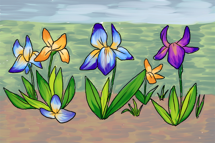 Once all the flowers and leaves are painted, fill in the background with oranges and browns for the ground and greens and blues for the grass in the far background.
