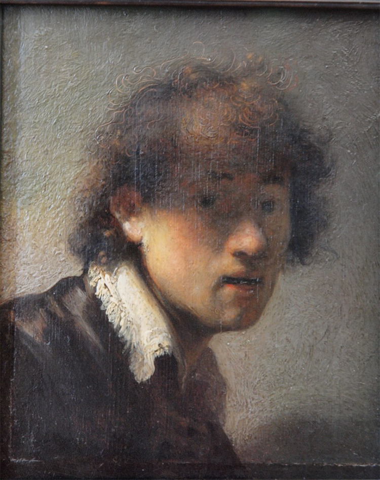 "Young Rembrandt" by moedermens is licensed under CC BY 2.0