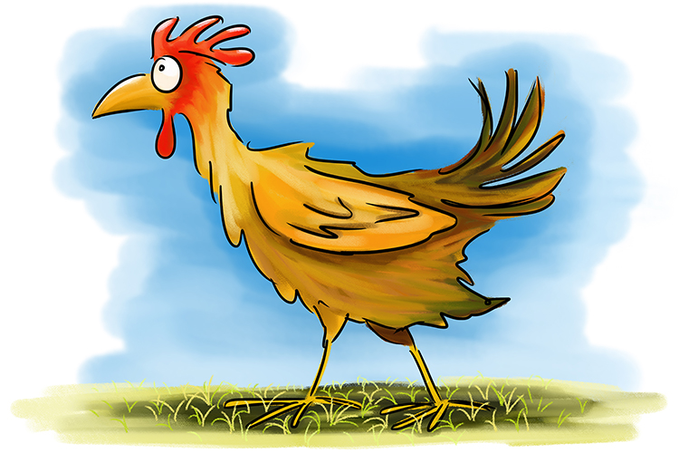 Chickens have a biomass of 48 million tonnes based on an average mass of 2 kg and 24 billion as an estimate