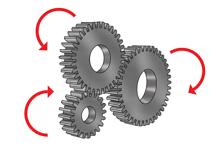 Co-evolution is the affects of both evolution of an interacting pair