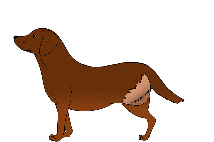 Injury is an acquired characteristic